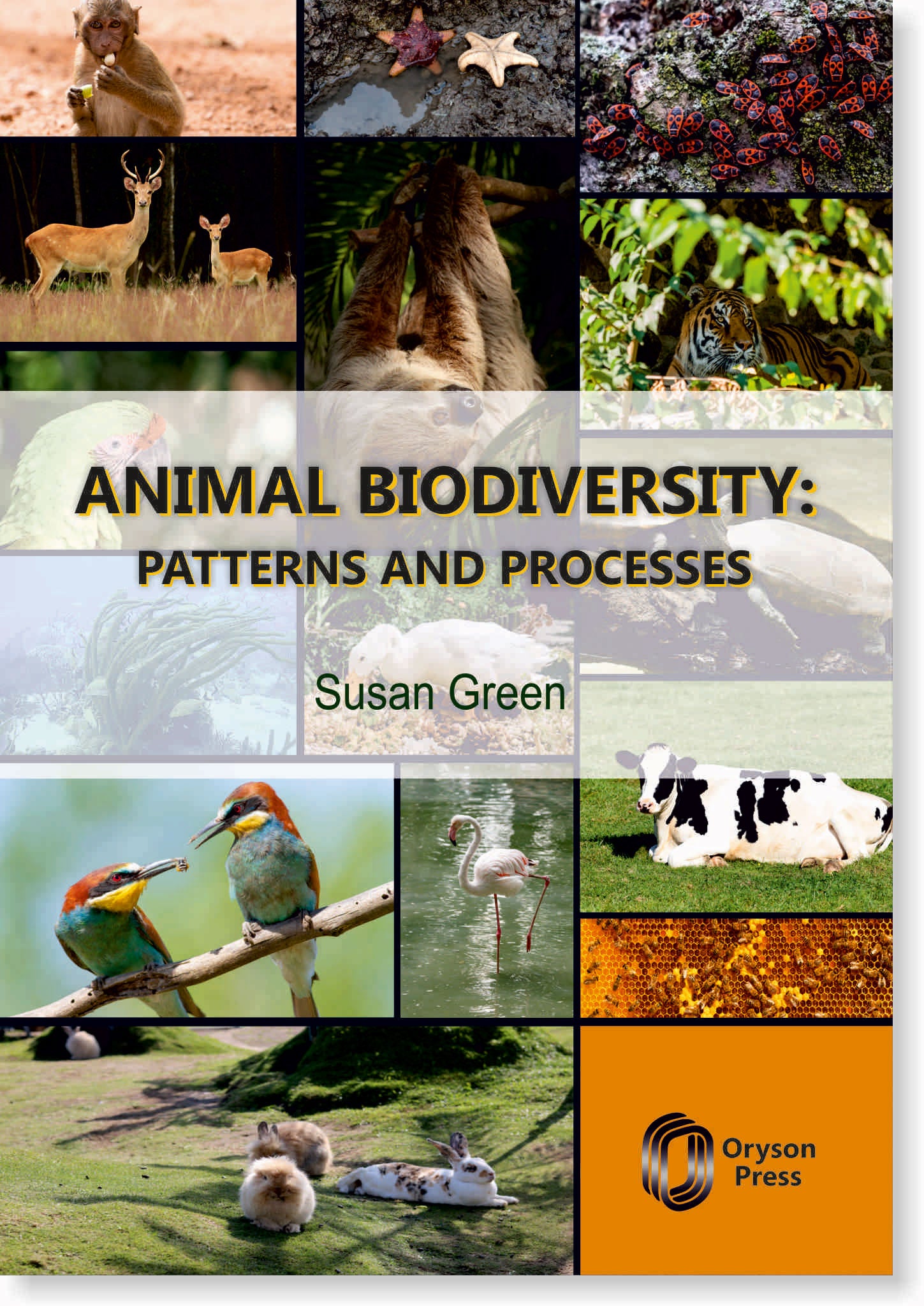 Animal Biodiversity: Patterns And Processes
