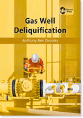 Gas Well Deliquification