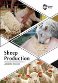 Sheep Production